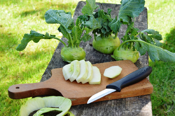 Superfood a zöldségeskertből: fedezzük fel a karalábét!